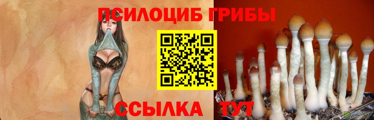 Галлюциногенные грибы Magic Shrooms  Вход с VPN  Бузулук 
